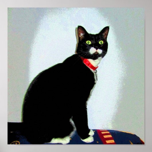 Statue Lucy Poster (Vorne)