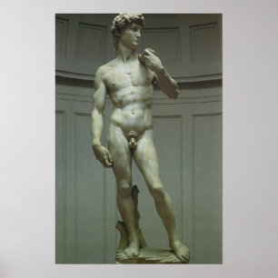 Statue of David by Michelangelo Poster