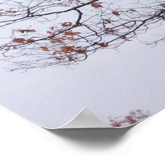 Statue Poster (Ecke)