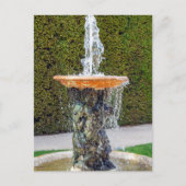 Statue The Marmousets Alley in Versailles Postkarte (Vorderseite)