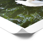 Statue und Schwan auf Madeira Poster (Ecke)