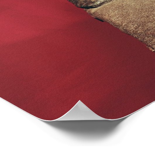 Statue von Caesar Julianus Pacatianus Poster (Ecke)