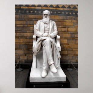 Statue von Charles Darwin Poster