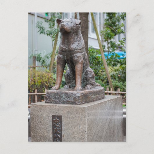 Statue von Chuken Hachiko Postkarte (Vorderseite)