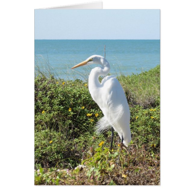 Statuesque Heron (Vorne)