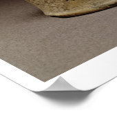 Statuette eines Löwendämons, Mesopotamien, c.5 Poster (Ecke)