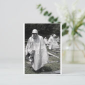 Status der Veteranen aus dem Koreakrieg Postkarte (Stehend Vorderseite)