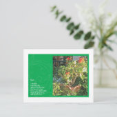 Staub Postkarte (Stehend Vorderseite)