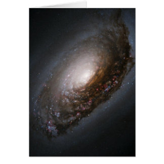 Staub rund um den Nucleus der Black Eye Galaxy M64