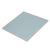 Staubblau chic trendiger Minimalist Fliese (Seite)