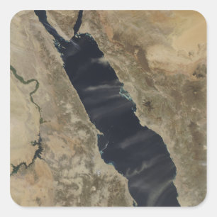Staubfedern über dem Roten Meer Quadratischer Aufkleber
