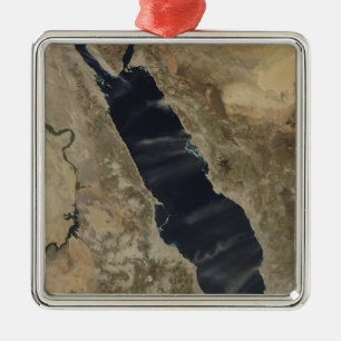 Staubfedern über dem Roten Meer Silbernes Ornament