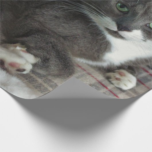 Staubig Geschenkpapier (Ecke)