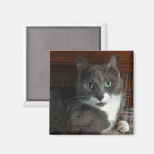 Staubig Magnet (Vorderseite/Rückseite)