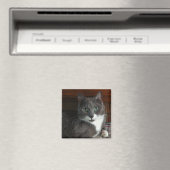 Staubig Magnet (In Situ (Geschirrspüler))