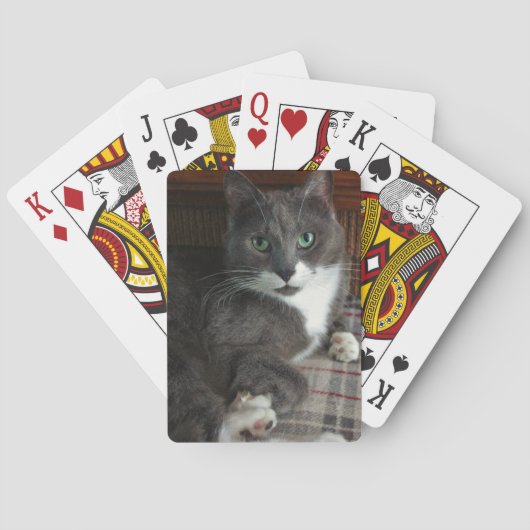 Staubig Spielkarten (Rückseite)