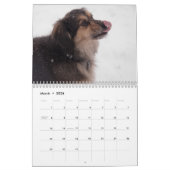 Staubig u. Polu 2011 Kalender (Mär 2026)