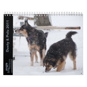 Staubig u. Polu 2011 Kalender