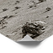 Staubsaugerfarm, 1938. Vintages Foto Poster (Ecke)