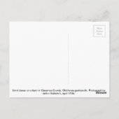 Staubsaugerfarm - Western Oklahoma 1936 Postkarte (Rückseite)