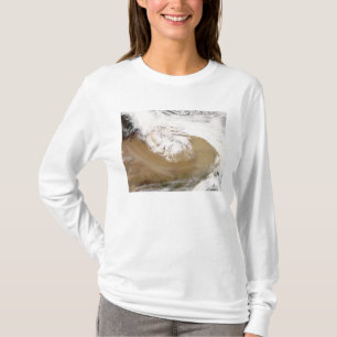 Staubsturm in NordChina 2 T-Shirt
