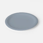 Staubtauben-Blaufarbe Pappteller (Schrägansicht)
