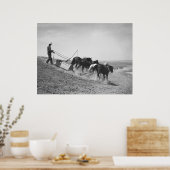 Staudamm-Gebäude: 1936 Poster (Küche)