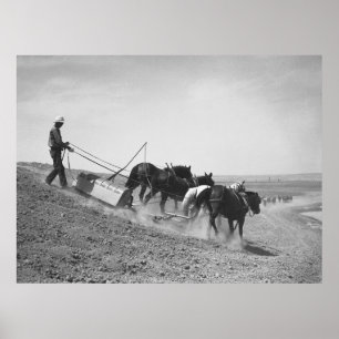 Staudamm-Gebäude: 1936 Poster