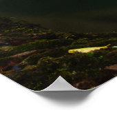 Stauender Wasserfall mit Sonnenlicht Poster (Ecke)