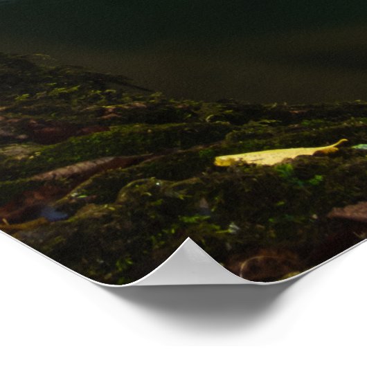 Stauender Wasserfall mit Sonnenlicht Poster (Ecke)