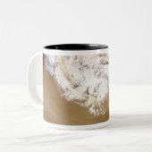 Stausturm in der nördlichen China 2 Zweifarbige Tasse (Vorderseite Links)