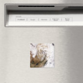 Stausturm in der nördlichen China Magnet (In Situ (Geschirrspüler))