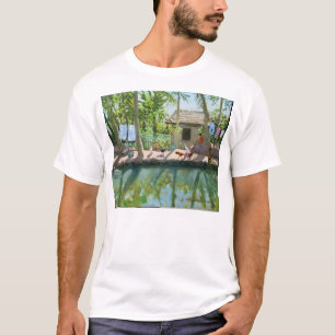 Stauwasser Indien T-Shirt