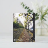 Stavanger, Norwegen Postkarte (Stehend Vorderseite)