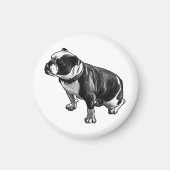 Stays Grounded Magnet (Vorne)