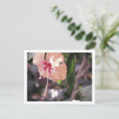 STC_0027 POSTKARTE (Stehend Vorderseite)