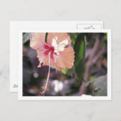 STC_0027 POSTKARTE (Vorne/Hinten)