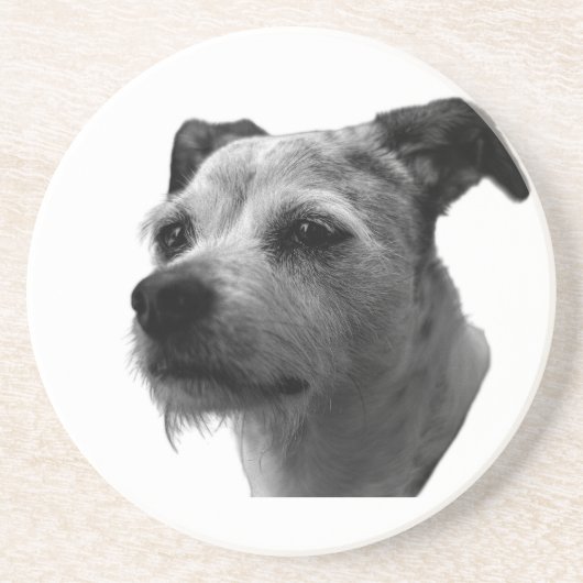 Steady Companion – Parson Russell Terrier Getränkeuntersetzer (Vorne)