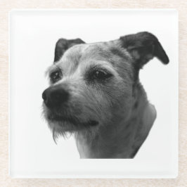 Steady Companion – Parson Russell Terrier Glasuntersetzer