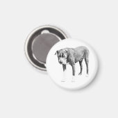 Steady-Gaze-Kühlschrankmagnet Magnet (Vorderseite/Rückseite)