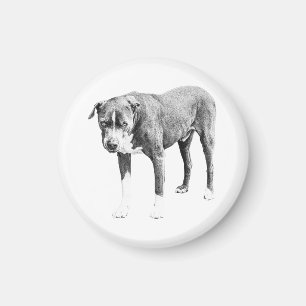 Steady-Gaze-Kühlschrankmagnet Magnet
