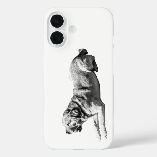 Steady Gaze - Labrador Pose Case-Mate iPhone Hülle (Rückseite)