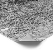 Steady Hand: 1908 Poster (Ecke)