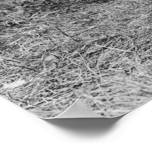 Steady Hand: 1908 Poster (Ecke)