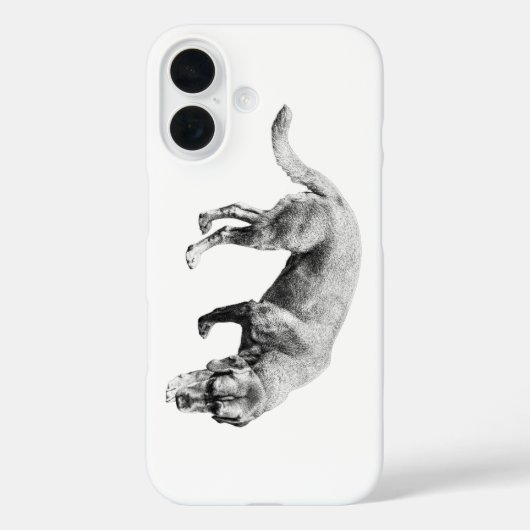 Steady Harvest Watcher Case-Mate iPhone Hülle (Rückseite)