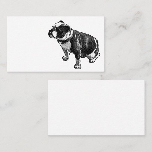 Steady Is Enough Visitenkarte (Vorne/Hinten)