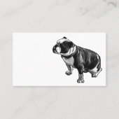 Steady Is Enough Visitenkarte (Vorderseite)