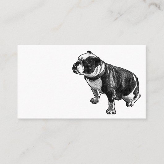 Steady Is Enough Visitenkarte (Vorderseite)