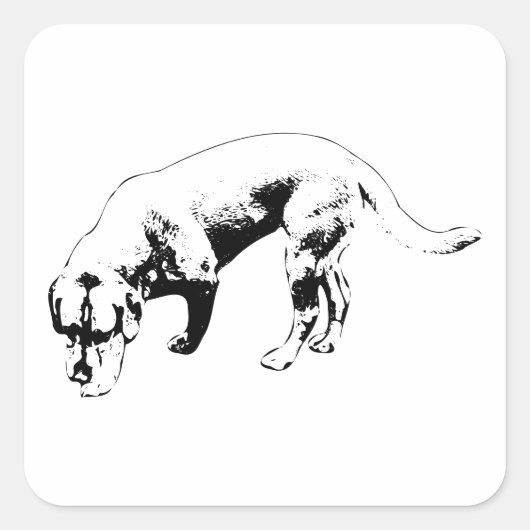 Steady-Nose zum Boden Quadratischer Aufkleber (Vorderseite)