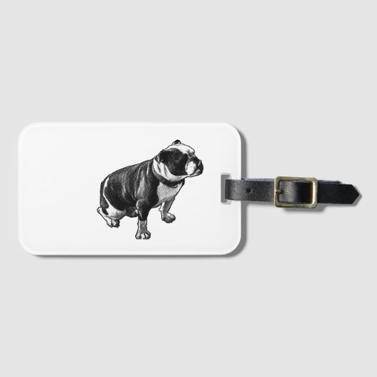 Steady Through Travel Gepäckanhänger (Vorderseite (Horizontal))